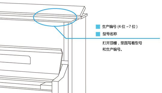 钢琴2的详细资料