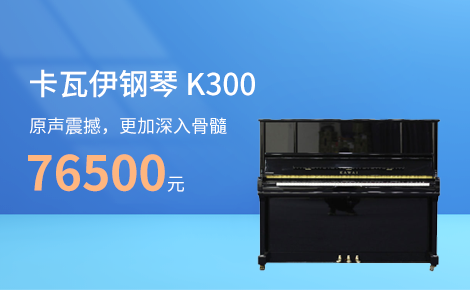 卡瓦伊K300