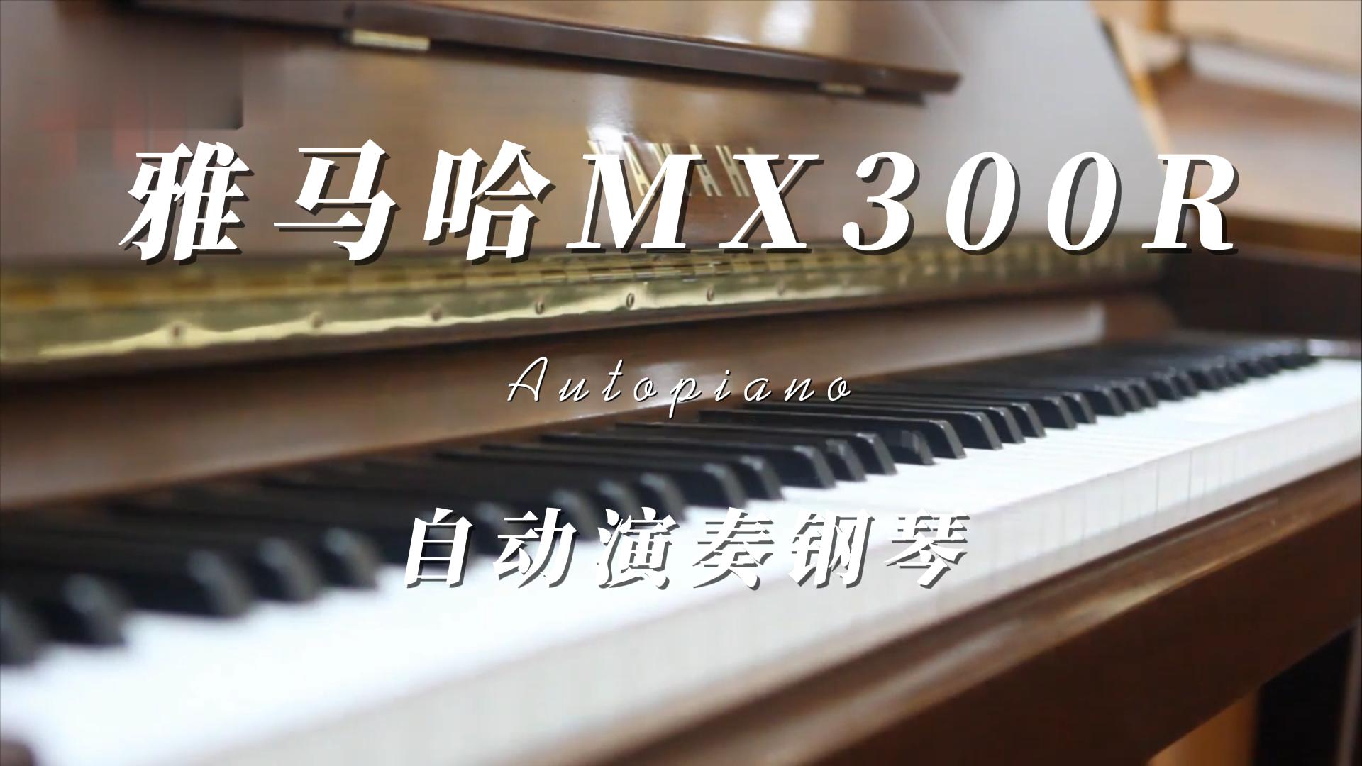 YAMAHA 雅马哈MX300R自动演奏钢琴音色试奏 柏通乐器整理