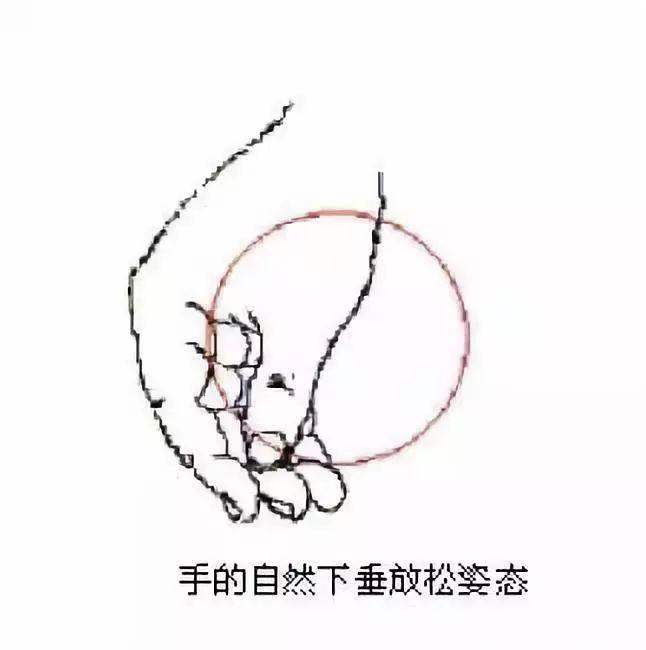 收藏 | 琴童正确标准手势对照简图及纠正方法！