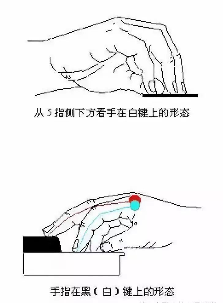 收藏 | 琴童正确标准手势对照简图及纠正方法！