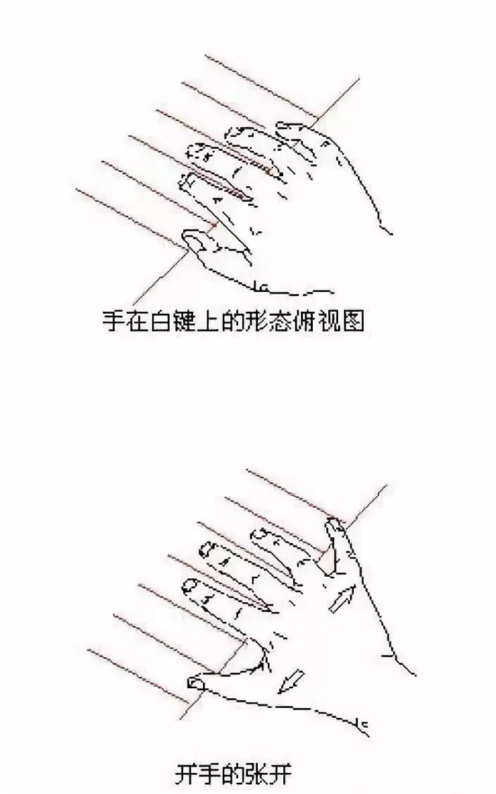 收藏 | 琴童正确标准手势对照简图及纠正方法！