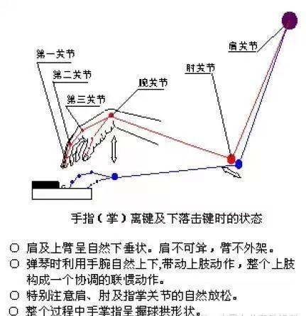 收藏 | 琴童正确标准手势对照简图及纠正方法！