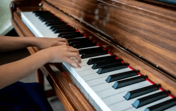 柏通乐器教你如何识别钢琴中的木虫，以及防护措施 