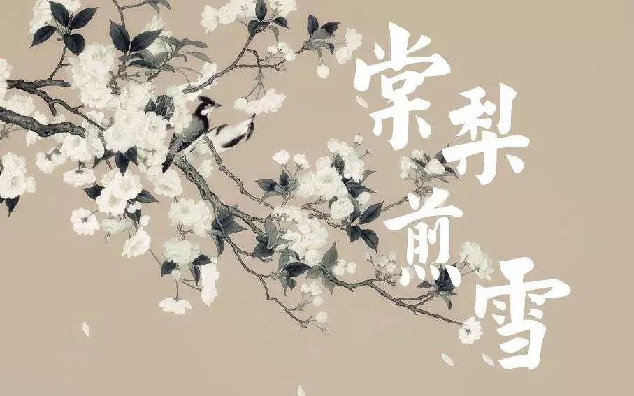 钢琴谱《棠梨煎雪》一首淡雅的古风小曲~