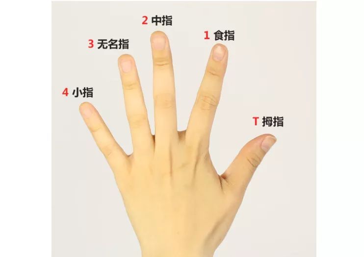 弹吉他怎么按弦？左手按弦方法详解
