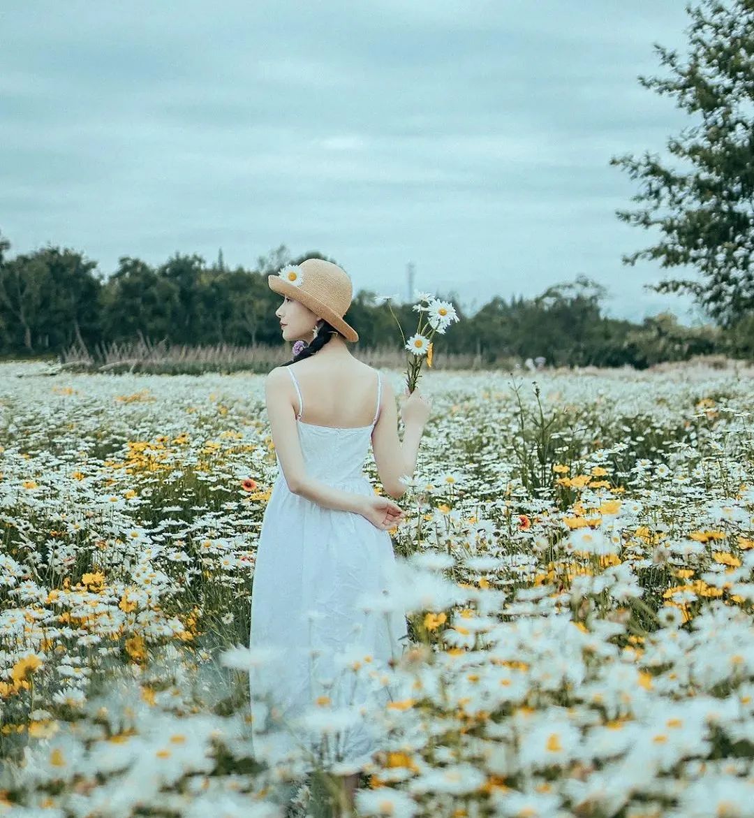 周杰伦浪漫情歌《花海》钢琴简谱