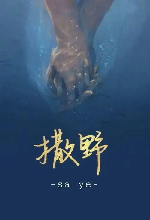  凯瑟喵《撒野》吉他弹唱谱
