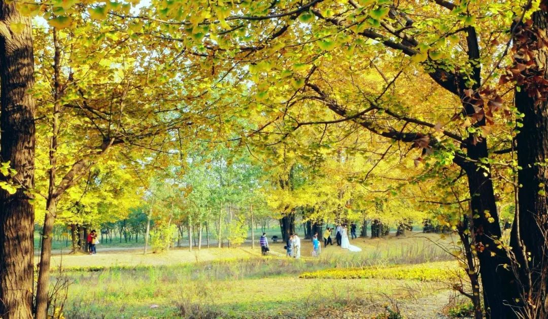 王宇良《春夏秋冬的你》吉他弹唱曲谱