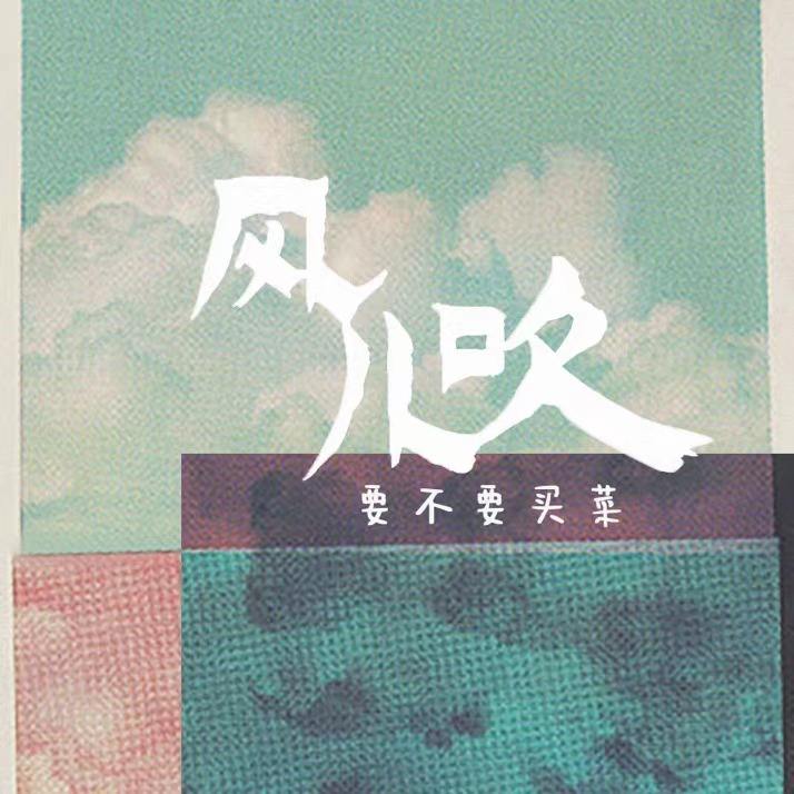 要不要买菜《风儿吹》吉他谱