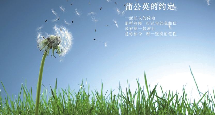 周杰伦《蒲公英的约定》吉他指弹谱