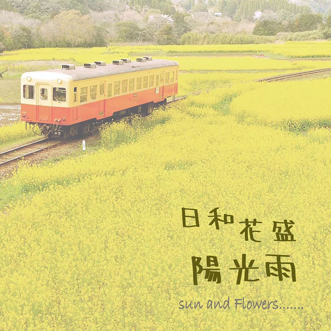 周杰伦《稻香》吉他谱