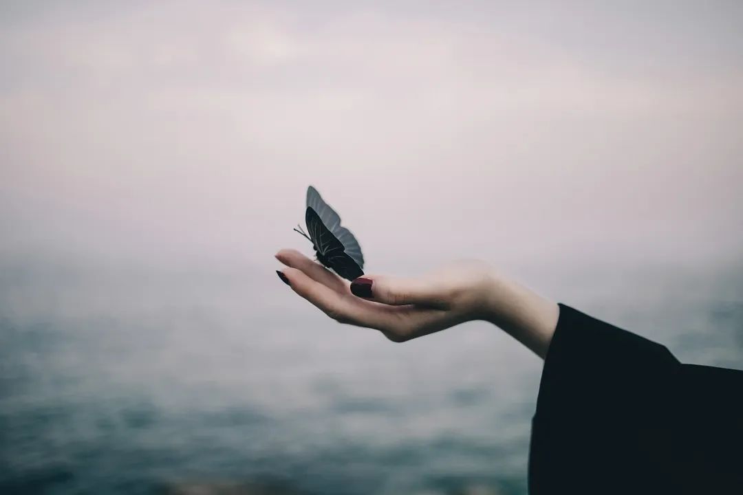 一只榴莲治超愈单曲《海底》钢琴谱