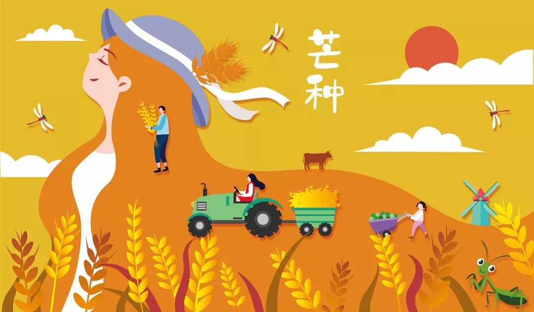《芒种》重制完整高清版钢琴谱