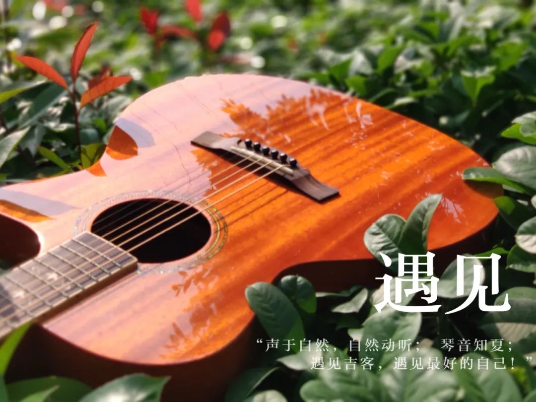 萨顶顶《左手指月》吉他谱及歌曲赏析