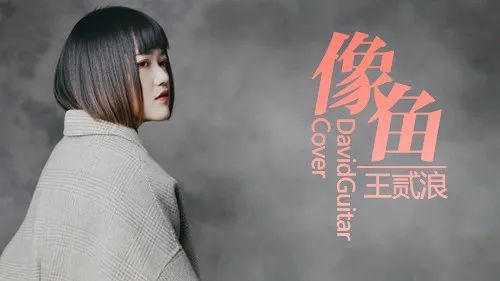 王贰浪《像鱼》双吉他指弹合奏谱